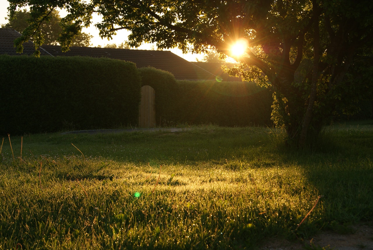 Can I Shoot My Bow In My Backyard In Alberta?