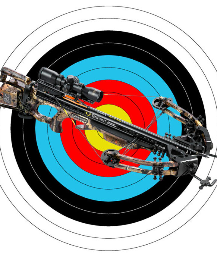 Arbalest vs. Crossbow: What's the Difference?
