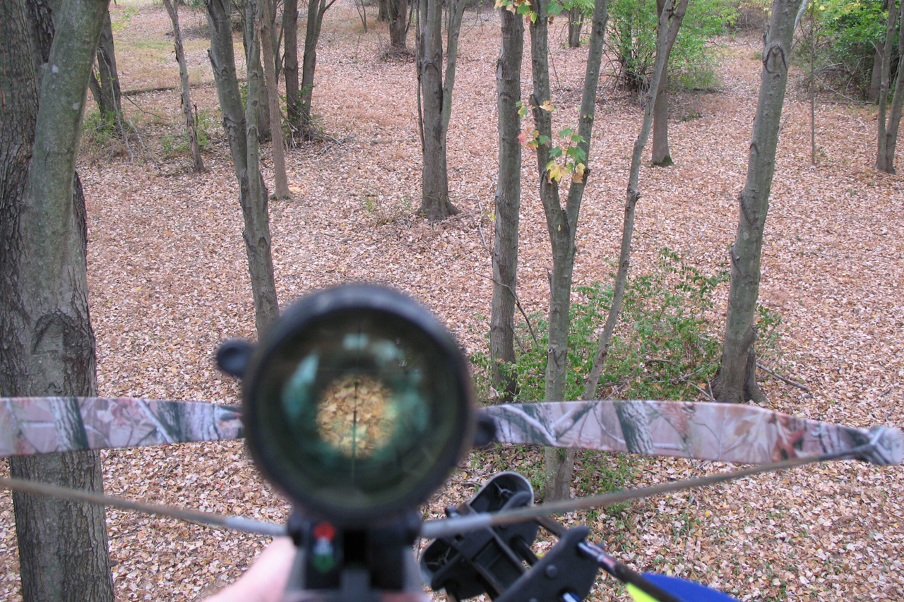 Can you shoot a crossbow without a scope?