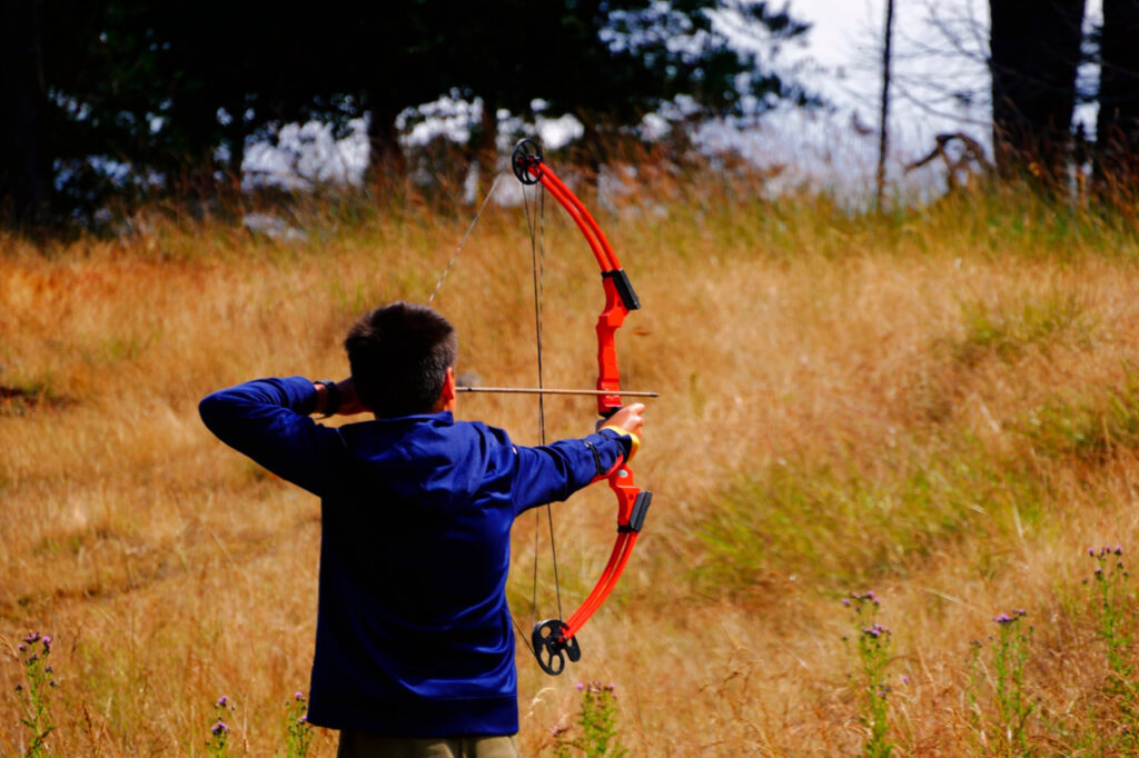Are compound bows easier to draw? Archery Heaven