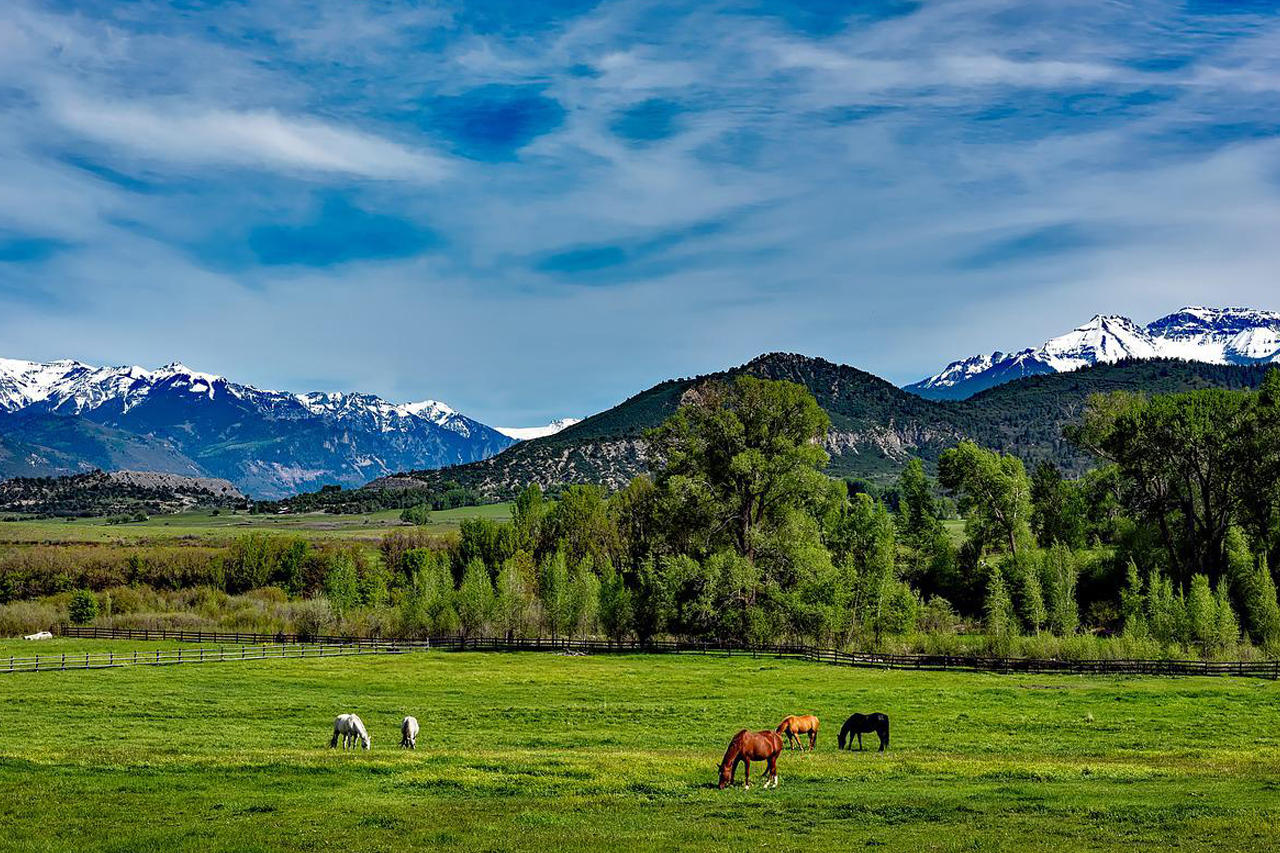 Can you use a crossbow in Colorado?