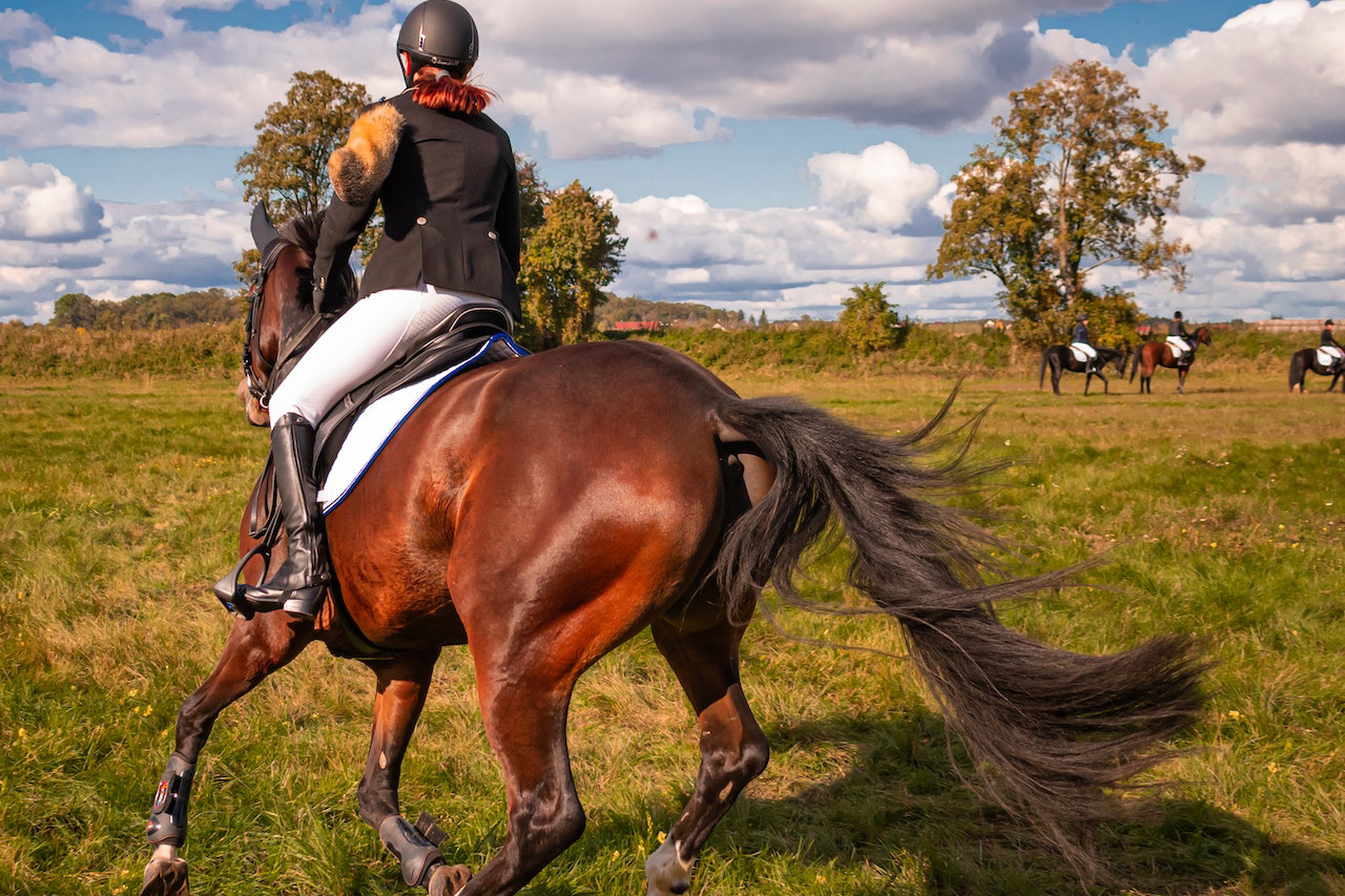 Can you shoot a longbow from a horse?