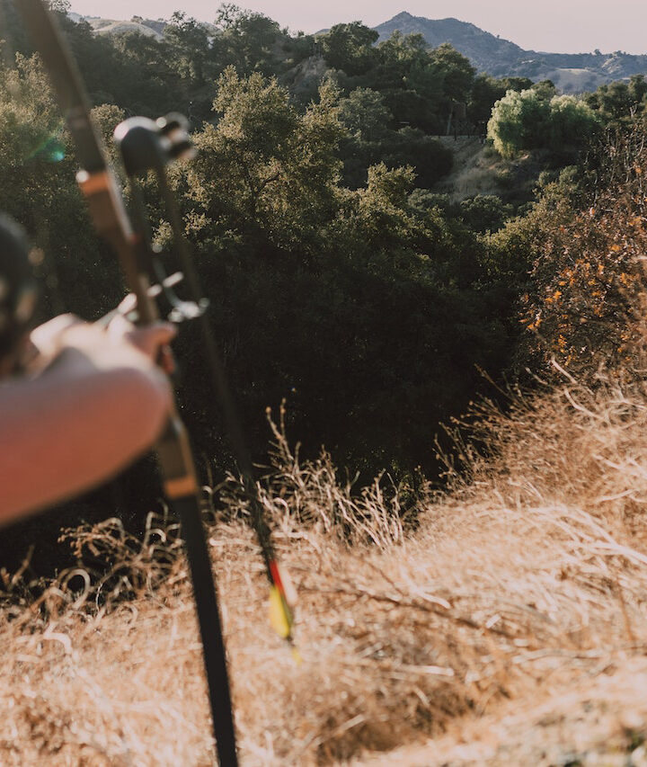 The Best Mathews Bows for Hunting (and Why?)