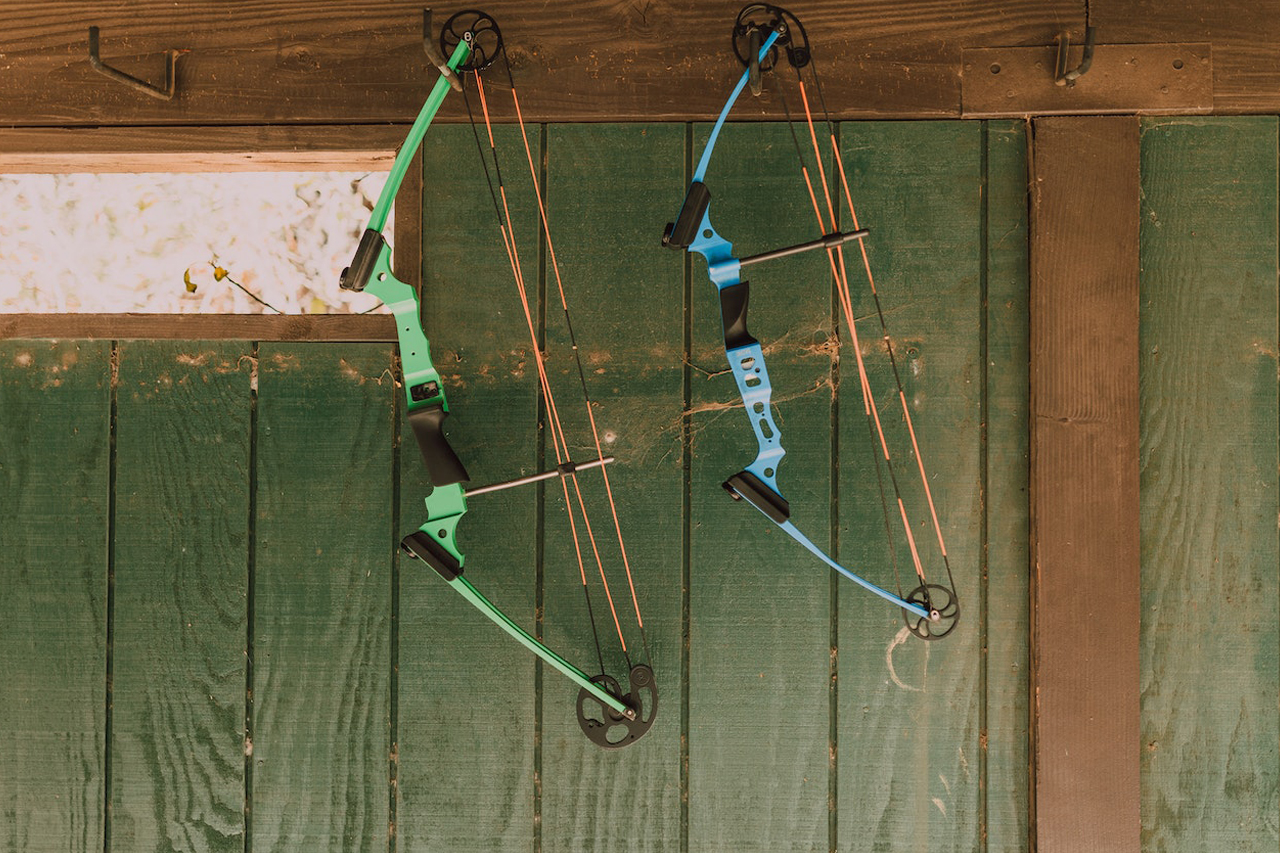 Dual Cam vs. Single Cam - Compound Bow Recommendations (2023)