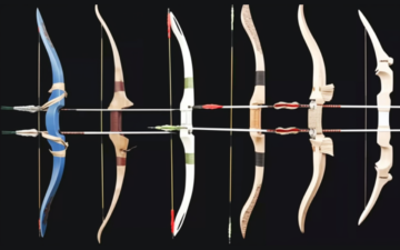 The Bow Costing: Finding The Best Budget Compound Bow