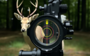 How To Properly Mount And Sight In A Compound Bow Scope?