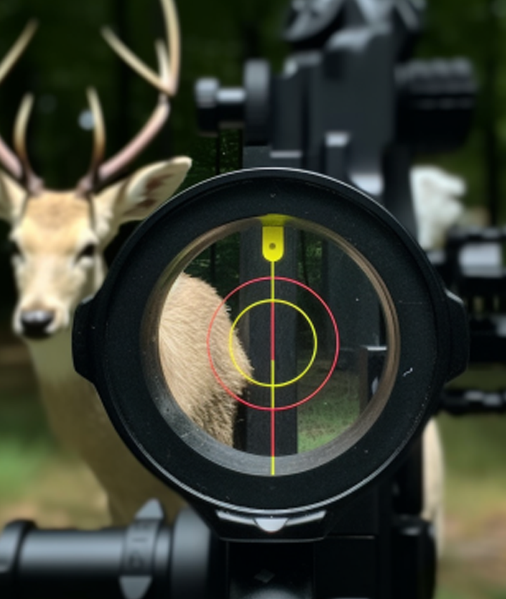 How To Properly Mount And Sight In A Compound Bow Scope?